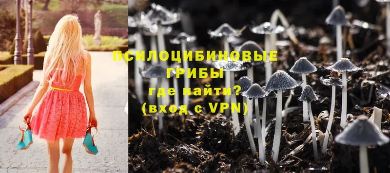 Галлюциногенные грибы Psilocybe  Нижние Серги 